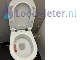 Loodgieter Den Haag Reparatie toilet